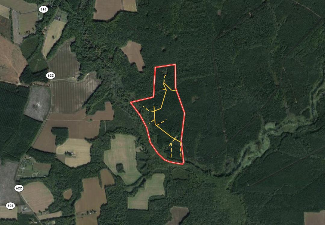 Elberon, VA 100 acres Land and Farms Realty